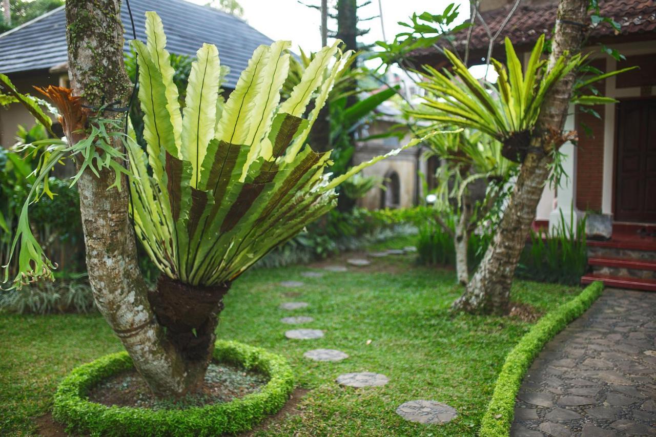 Alas Petulu Villa Resort And Spa อูบุด ภายนอก รูปภาพ
